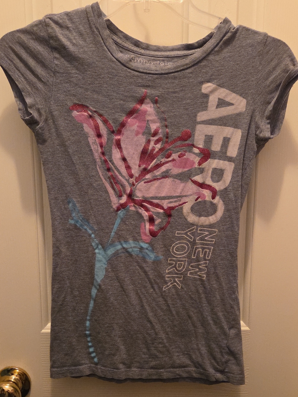 Aeropostale Gray Short Sleeve Tee with Pink Floral and Blue Stem
